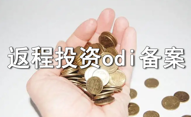 ODI返程备案