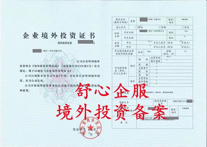 境外直接投资ODI