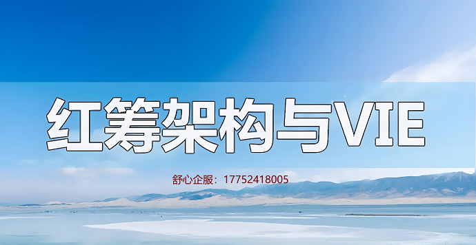 VIE架构合规搭建